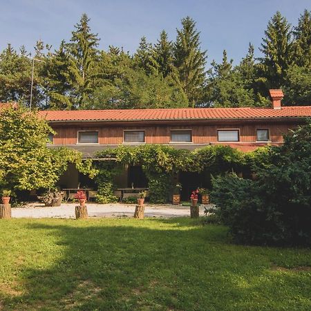 Orsegi Patakparti Alpaka Panzio Bed & Breakfast Kisrakos Екстериор снимка