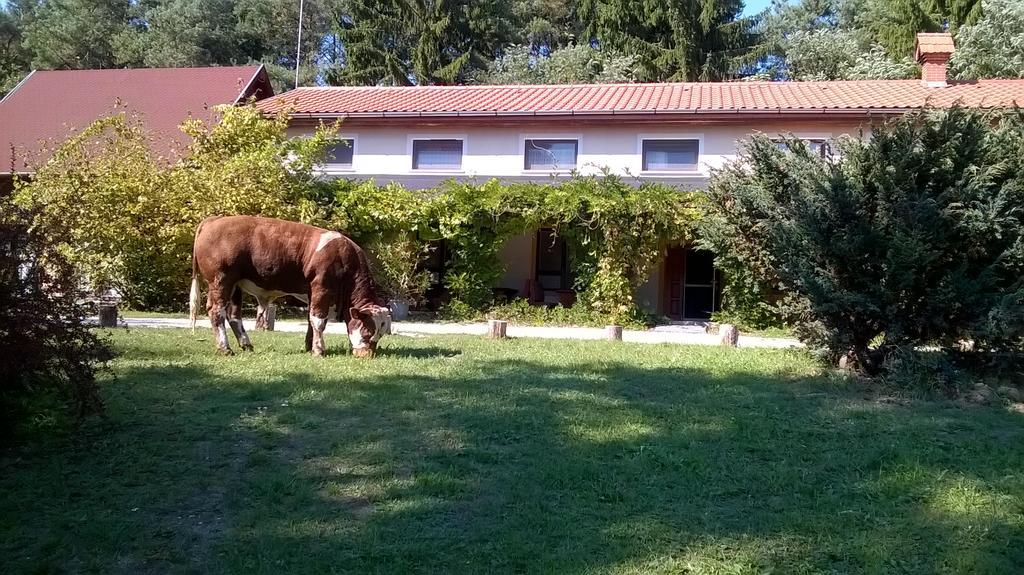 Orsegi Patakparti Alpaka Panzio Bed & Breakfast Kisrakos Екстериор снимка