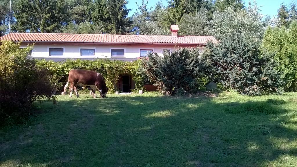 Orsegi Patakparti Alpaka Panzio Bed & Breakfast Kisrakos Екстериор снимка