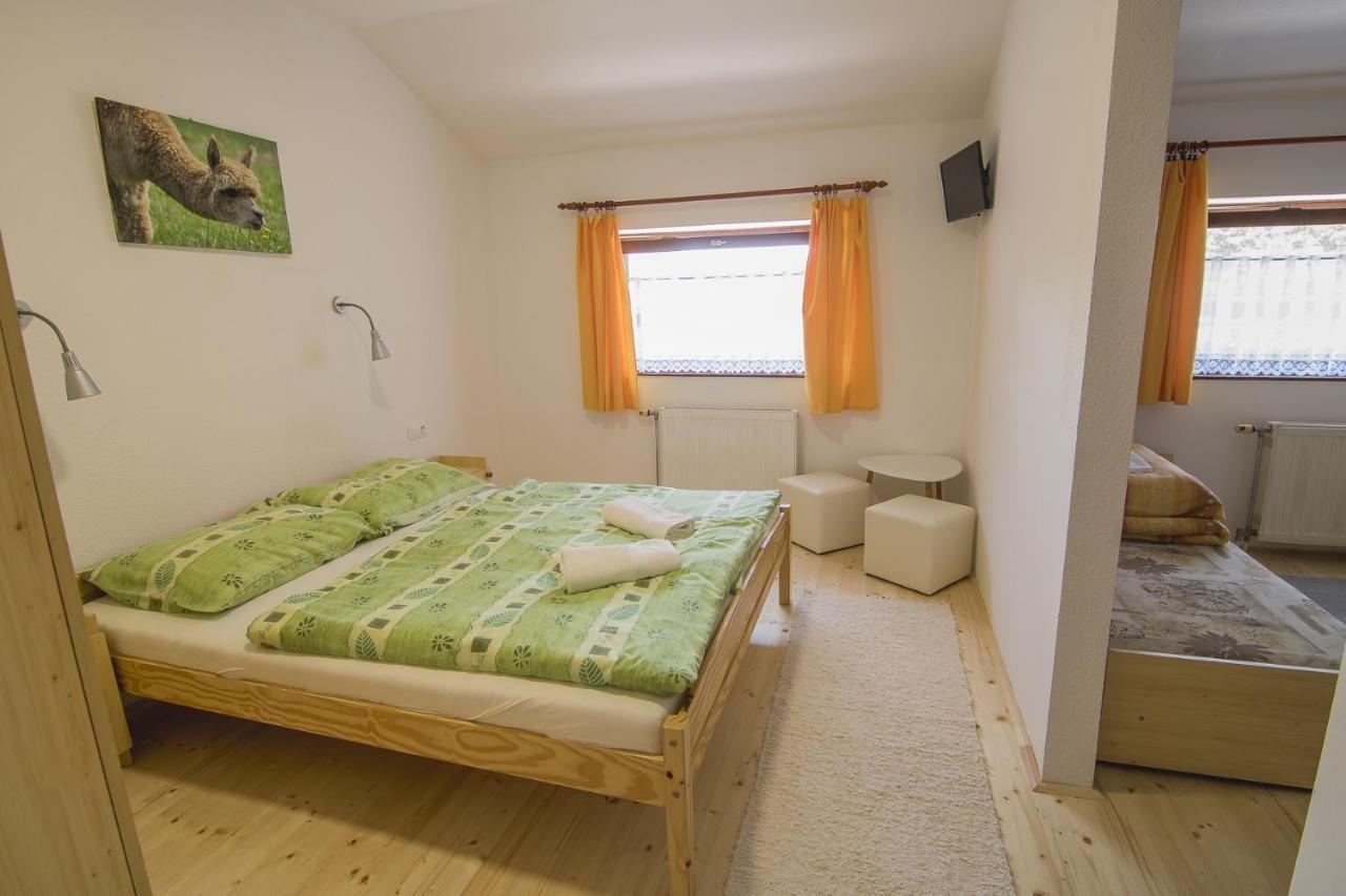 Orsegi Patakparti Alpaka Panzio Bed & Breakfast Kisrakos Екстериор снимка